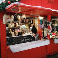 En cette fin d'année, nous sommes bien sûr au marché de Noël de Nantes @xmasnantes sur la Place Royale. 🎅✨ 

Jusqu'au 24 Décembre, venez nous rencontrer au chalet! On vous présentera toutes nos nouveautés et nos accessoires merveilleux en laine d'alpaga. 🥰

#alpagalemonde #nantescentre #marchédenoël #alpagalove